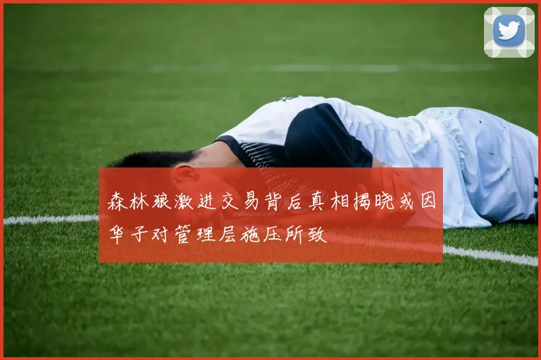 森林狼激进交易背后真相揭晓或因华子对管理层施压所致