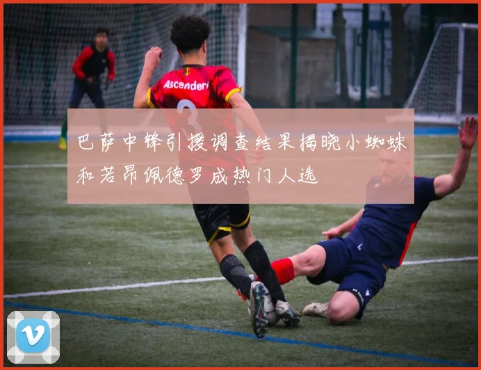 巴萨中锋引援调查结果揭晓小蜘蛛和若昂佩德罗成热门人选